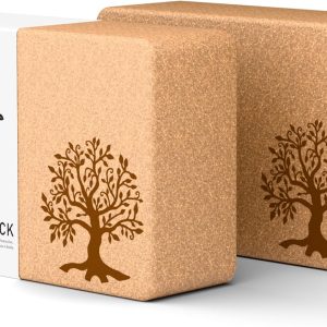Cork Yoga Blocks 2 Pack Set